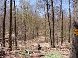 Spring 009